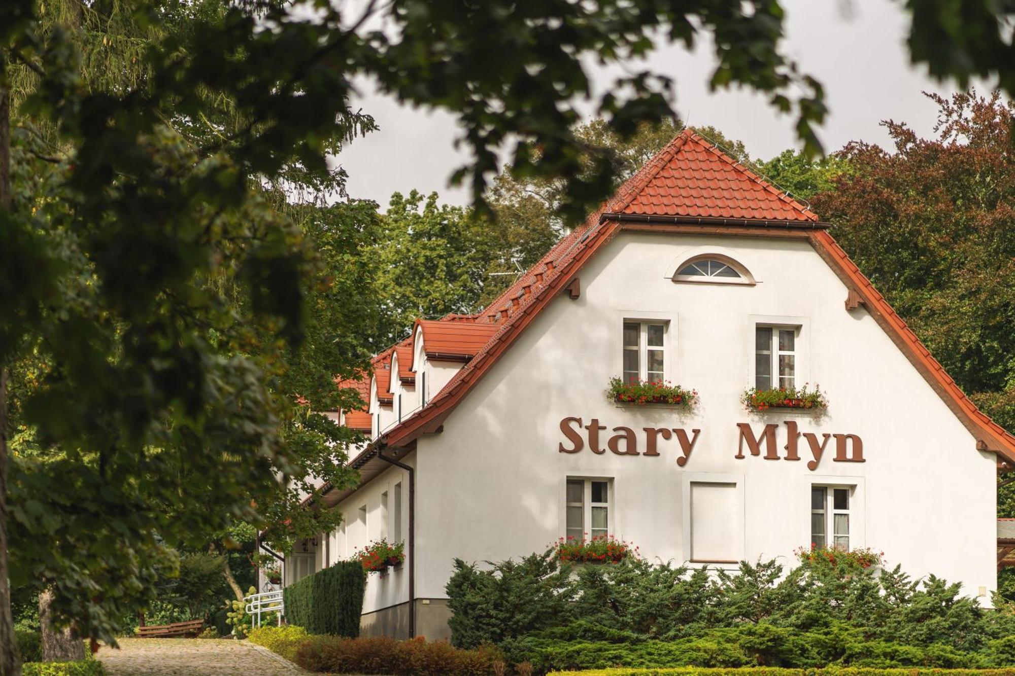 Hotel Stary Mlyn Strzeszyn Lubowo  Exterior foto